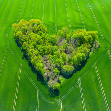 Breathe easy in our most <em>serene green</em> 